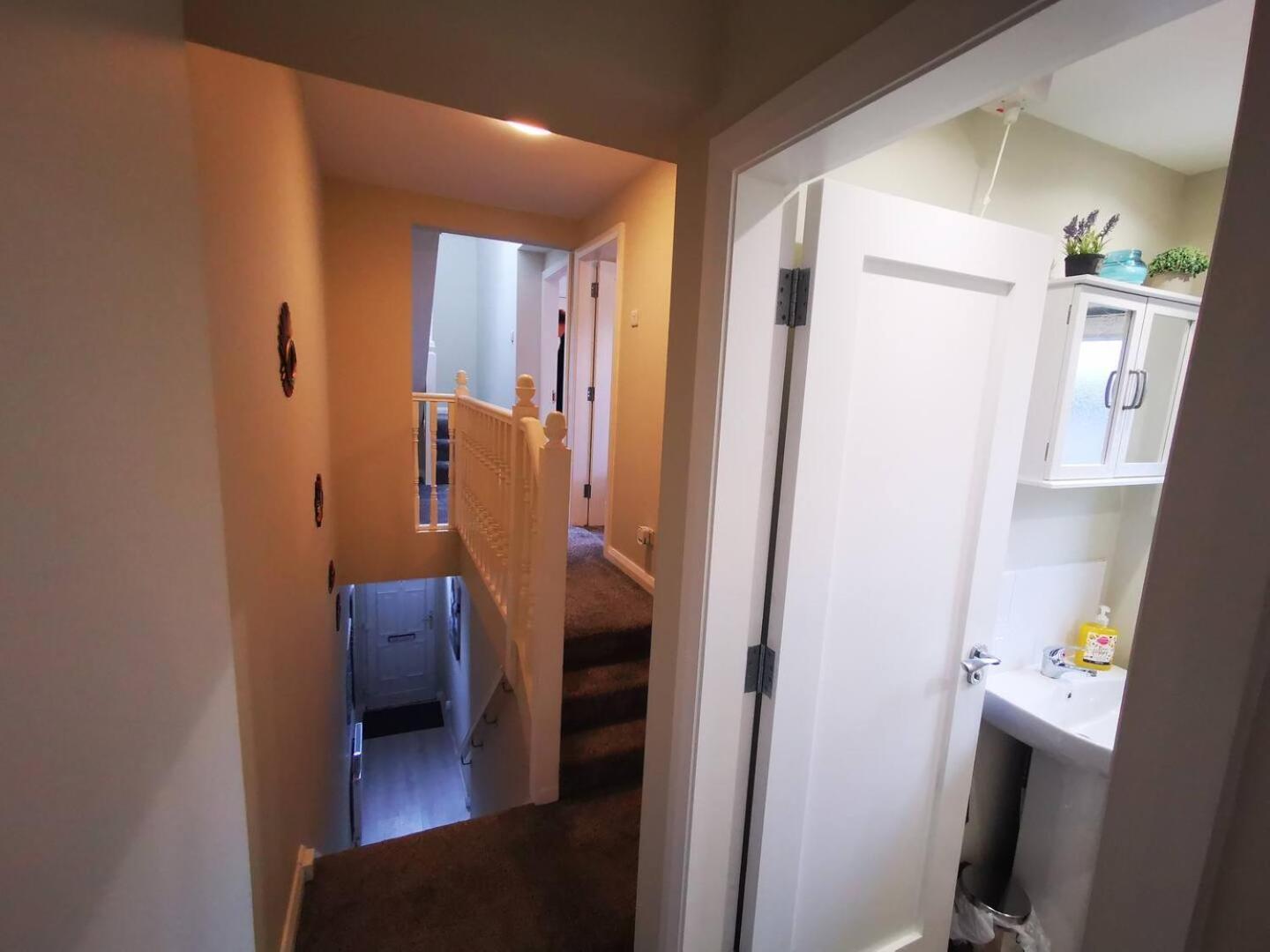 4br Modern Botanic House Belfast
